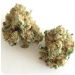 Шишки "White Widow"  (Белая вдова)  Гидропоника -  Бошка VHQ в Боре