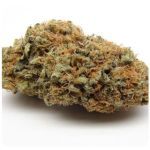 Шишки AK47  (Гидропоника, Бошка) VHQ в Боре